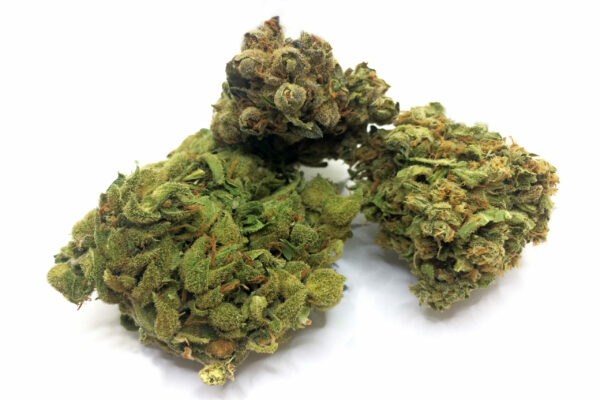Random Outdoor Weed